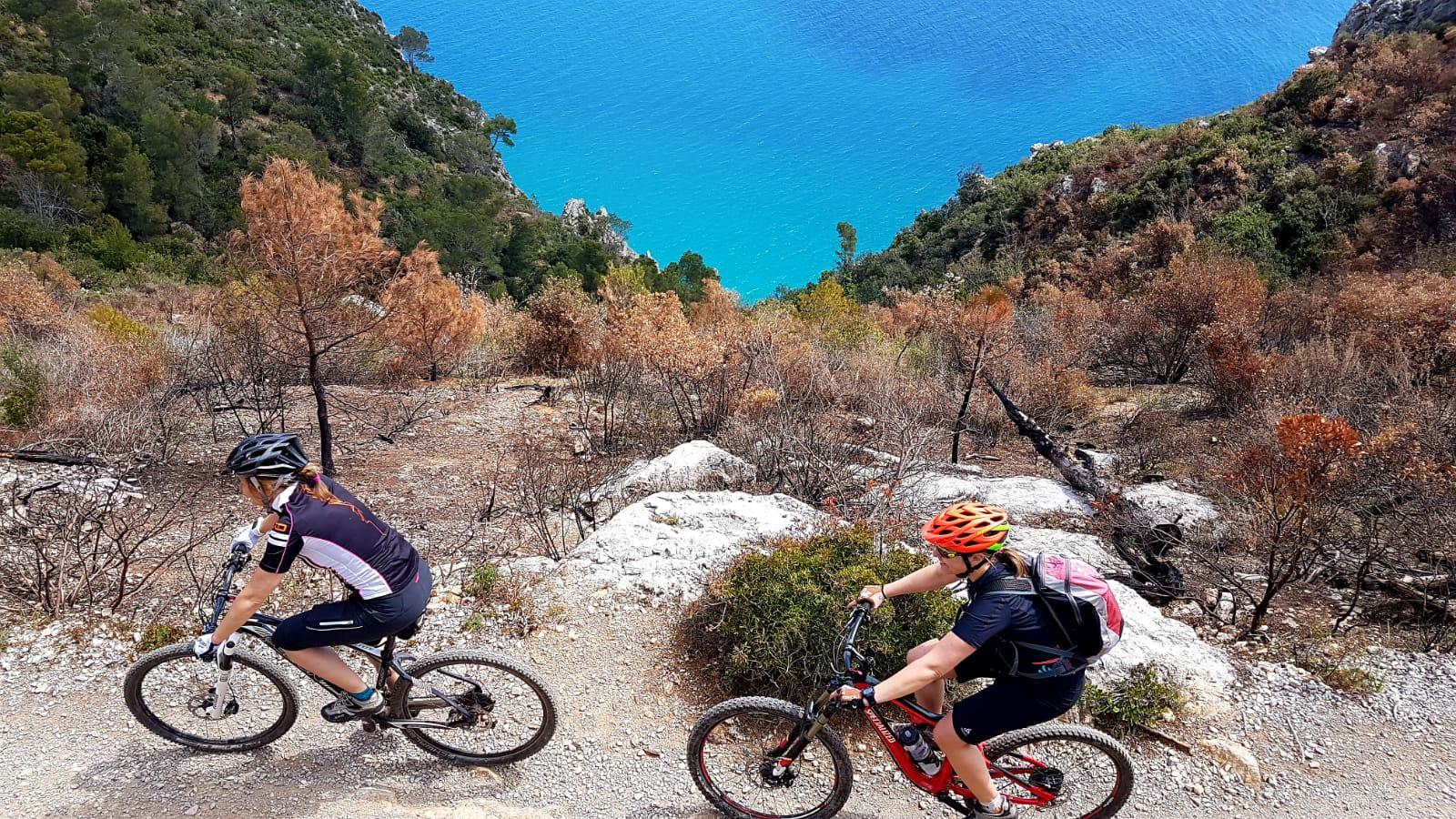 Read more about the article Trailvergnügen Par Excellance